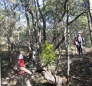  Interpretive hiking 
